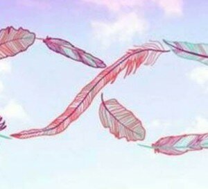 Angel wings