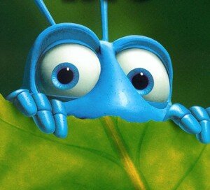 Ants Slider